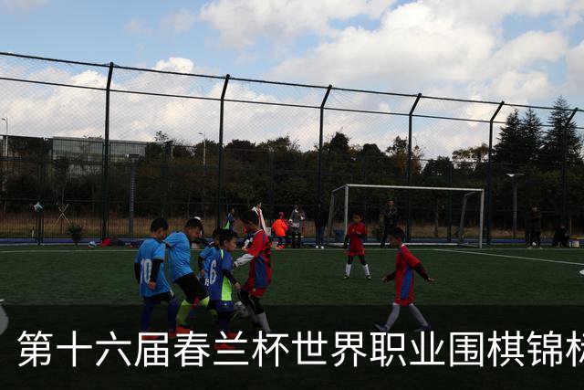 第十六届春兰杯世界职业围棋锦标赛西安盛大开幕